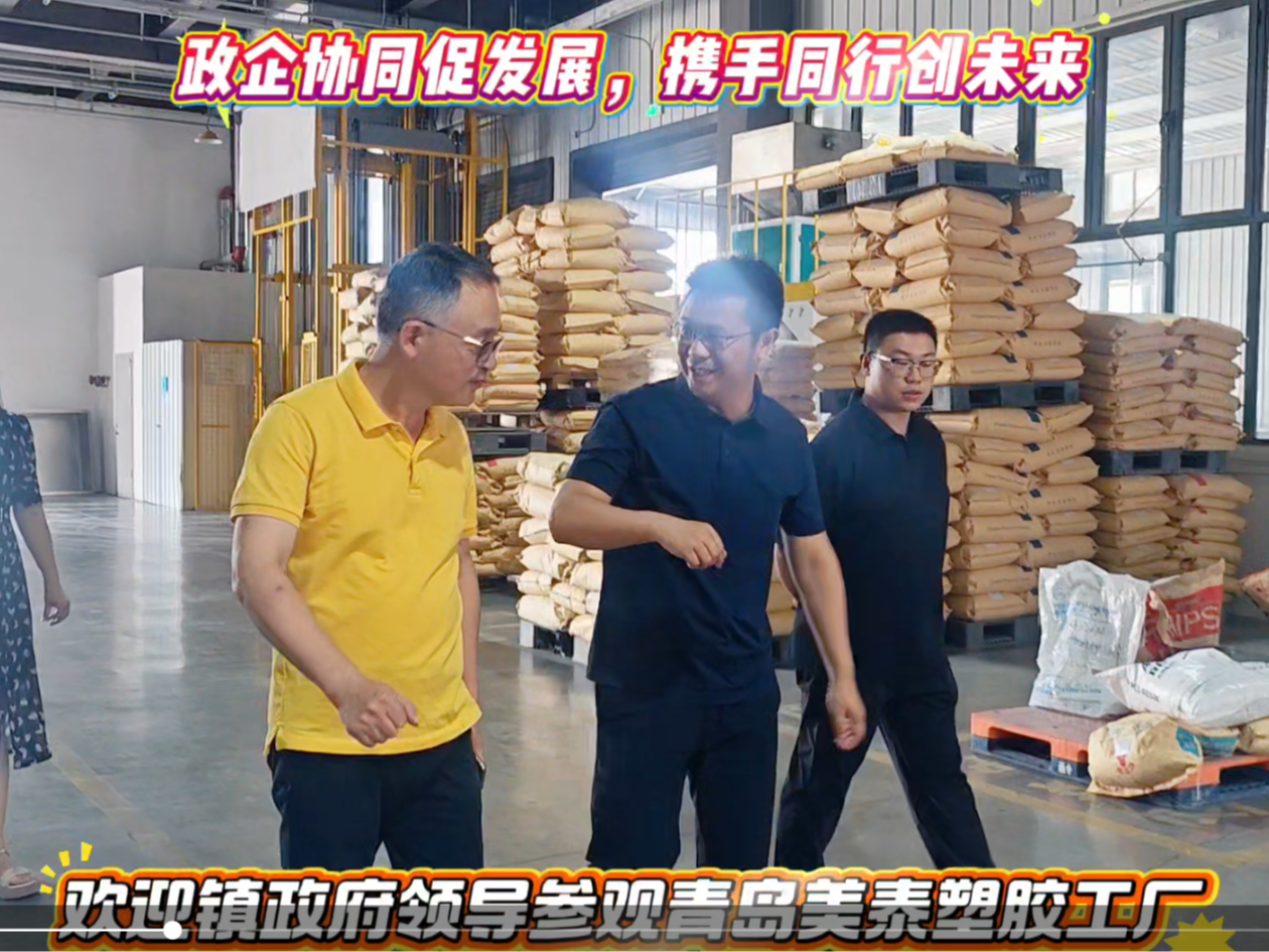 欢迎镇政府领导视察美泰塑胶工厂
